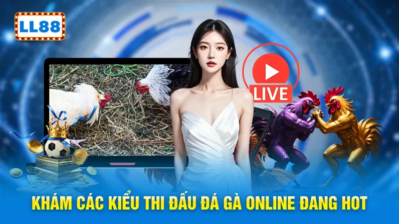 Khám các kiểu thi đấu đá gà online đang hot
