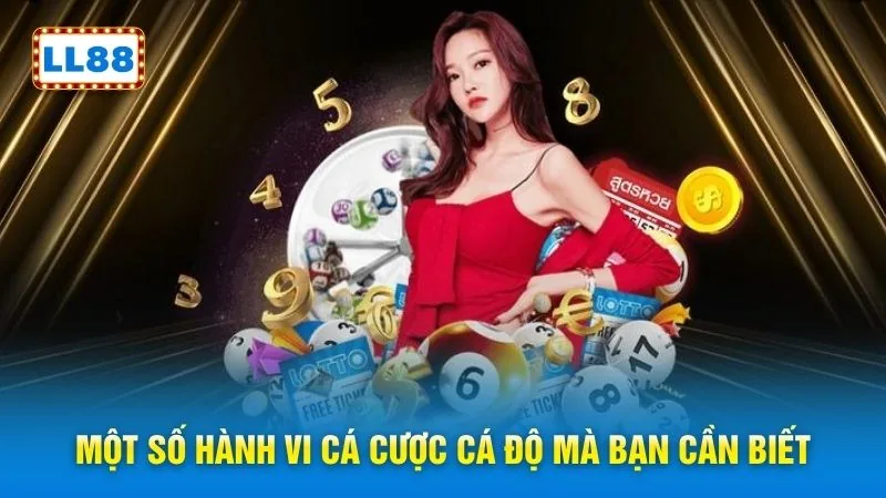 Một số hành vi cá cược cá độ mà bạn cần biết